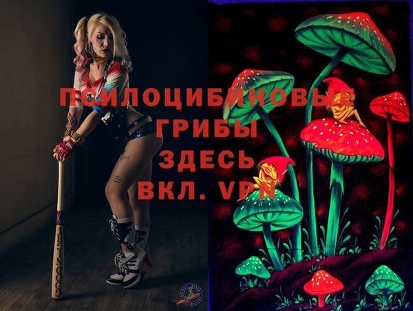 скорость Краснослободск