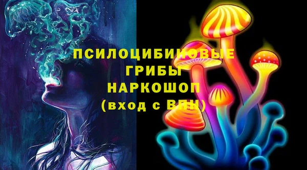 скорость Краснослободск