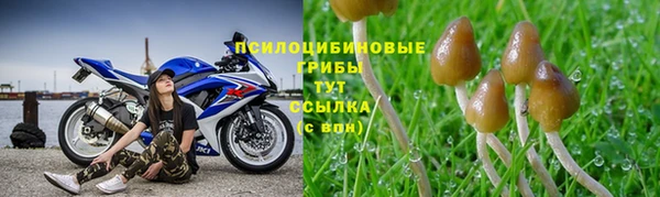 мяу мяу мука Краснотурьинск