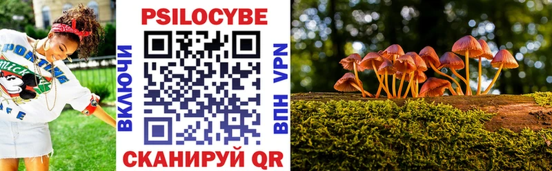 Галлюциногенные грибы Psilocybine cubensis  Навашино 